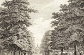 Plantage Middenlaan